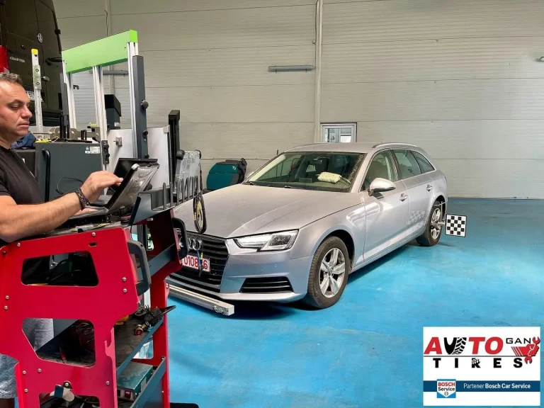 Calibrare și Reparații Distronic (ACC), Camere Lane Assist ADAS